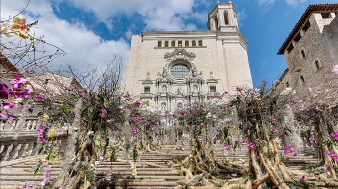 Global Immo 3347 La Solana Lägenhet Rosas Exteriör bild